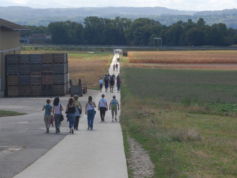 Balade gourmande 2009 016