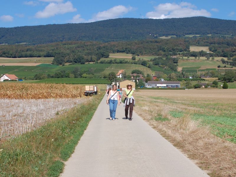 Balade gourmande 2009 023