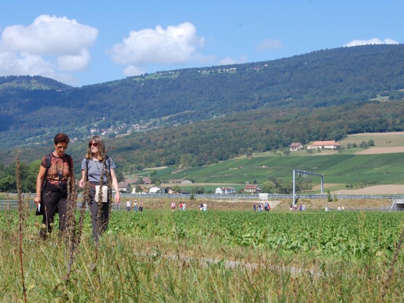 Balade gourmande 2009 025