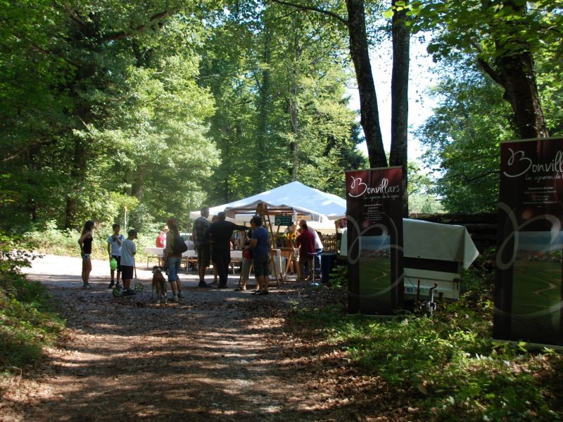 DSC 0030