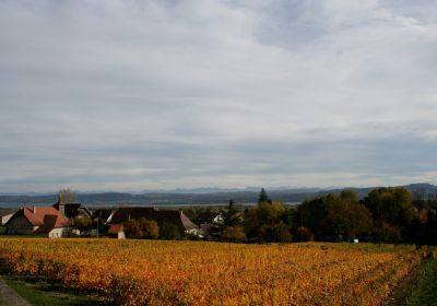 Bonvillars et region