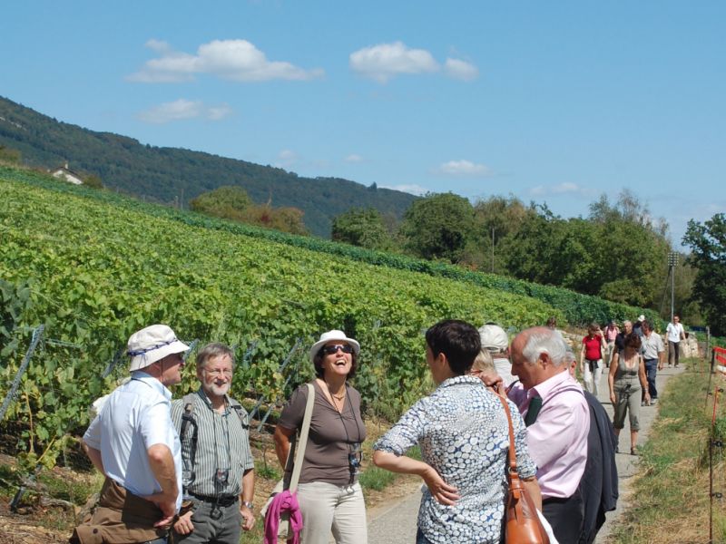 Balade gourmande 2009 128