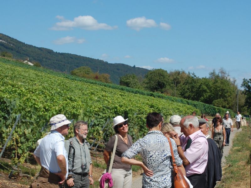 Balade gourmande 2009 129