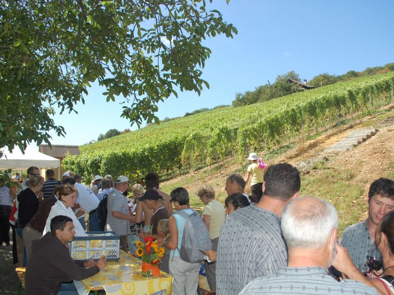 Balade gourmande 2009 132