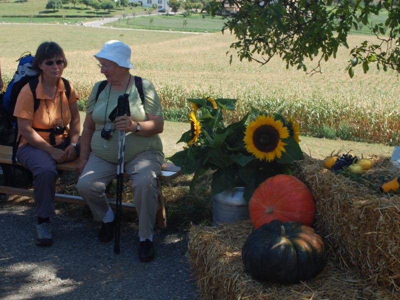 Balade gourmande 2009 153