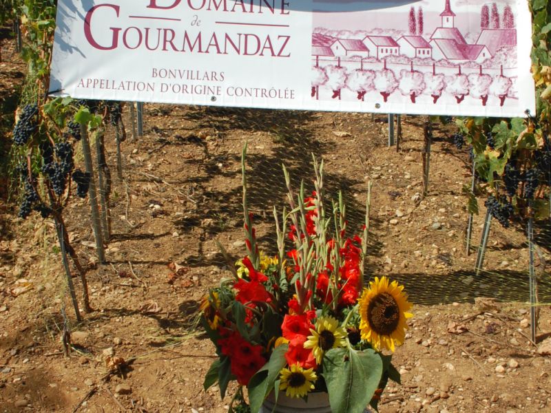 Balade gourmande 2009 157